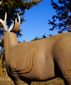 Shooter Buck 3D Deer Archery Target 3-D Buck Target 22 91ZlgUNwfiL