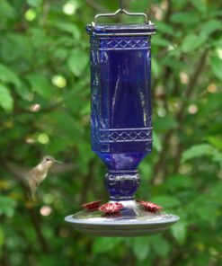 Perky-Pet 8117-2 EMW8207110, Medium, Cobalt blue Antique 23 91ZmVdi1ZFL