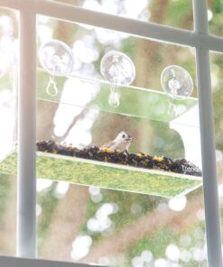 Tranquil Outdoors Large Acrylic Window Bird Feeder: Strong Removable Suction Cup Mounted Outdoor Bird House Feeder, Clear Birdfeeders for Large & Small Birds. Best See Thru Feeder for Bird Watching 45 91ZvPdaDBNL