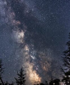 Tokina AT-X PRO DX for digital SLR 11-20mm f/2.8 Pro DX Lens for Nikon F 83 91Zxj4ivQL