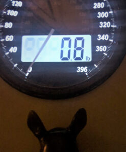 HERNGEE Rhino Head Single Wall Hook/Hanger Animal Shaped Coat Hat Hook Heavy Duty, Rustic Decorative Gift, Black 26 91a9tSsRZ3L