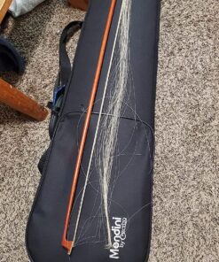 Mendini By Cecilio Violin For Beginners, Kids & Adults - Beginner Kit For Student w/Hard Case, Rosin, Bow - Starter Violins, Wooden Stringed Musical Instruments 4/4 MV Black 36 91aCbdoBNrL