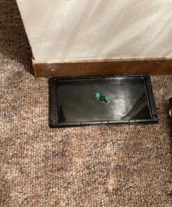 Neogen Ramik Green Fish Flavored Weather Resistant Rodenticide Nuggets, 4 lb bag 4-pound pouch 47 91aD44lkw1L