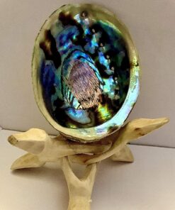 Premium Polished Abalone Shell, Large, 5-6 inches, with Wooden Stand, for Smudging, Cleansing, Home Decor, Gift Box. 100% Natural Colour - Sustainably Sourced by Ocean Shell Studios New Zealand 5-6" Polished Shell + Stand 17 91aENf51vLL