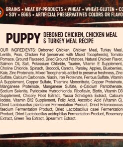 Wellness CORE Natural Grain Free Dry Dog Food, Puppy, 4-Pound Bag 4 Pound (Pack of 1) 17 91aHgPtw1kL