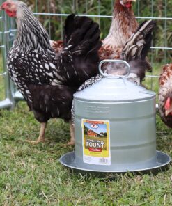 Alternative view of LITTLE GIANT Galvanized Double Wall Founts 2 Gallon