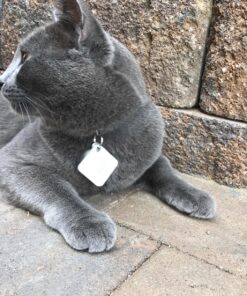 Tile Mate (2016) - 1 Pack - Discontinued by Manufacturer 30 91aNz2j0PcL