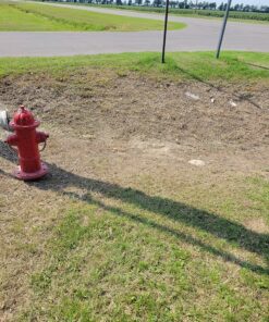 Compare-N-Save 75324 Herbicide, 1-gallon, white 41 91aVqaaBMiL