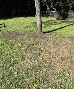 Scotts EZ Seed Patch and Repair Sun and Shade for Grass: Covers up to 225 sq. ft., 10 lb. 10 lb. 1 Pack 55 91aWA0VkR4L