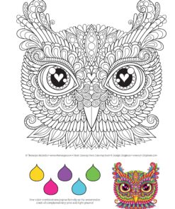 Groovy Owls Coloring Book (Coloring is Fun) (Design Originals) 32 Adorable Art Activities with Quiet, Stoic, Wise, and Happy Owls, plus Beginner-Friendly Advice, Techniques, Color Choices, & Examples Paperback, Coloring Book 36 91afqK0XWpL