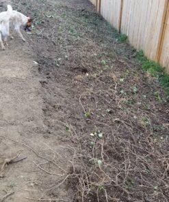 Fiskars Square Garden Spade Shovel - 46" - Steel Flat Shovel with D-Handle - Garden Tool for Digging, Lawn Edging, Pruning - Heavy Duty Weed Puller Tool - Black/Orange 33 91aknMYQ1JL