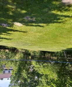 Franklin Sports Portable Badminton Set - Adult and Kids Badminton Net - Perfect Backyard/Lawn Game - Includes 4 Racquets - Recreational 23 91awAUqmumL