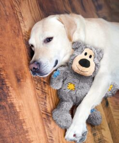 Alternative view of KONG NKR1 Wild Knots Bear - Internal Knotted Ropes and Minimal Stuffing for Less Mess - For Medium/Large Dogs (Assorted Colors) 1