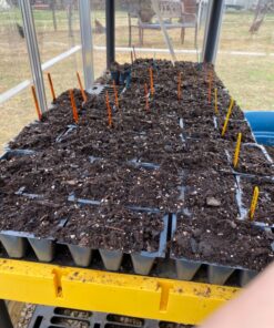 9GreenBox - Seedling Starter Trays, 144 Cells: (24 Trays; 6-Cells Per Tray), Plus 5 Plant Labels 33 91b2NQ77ipL