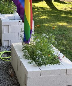 Eden Brothers All Perennial Wildflower Mixed Seeds for Planting, 1/4 lb, 120,000+ Seeds with Lupine, Shasta Daisy | Attracts Pollinators, Plant in Spring or Fall, Zones 3, 4, 5, 6, 7, 8, 9, 10 1/4 Pound 61 91b4R29gHwL