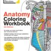 Anatomy Coloring Workbook, 4th Edition: An Easier and Better Way to Learn Anatomy Paperback, Coloring Book 5 91b4hCMU7xL