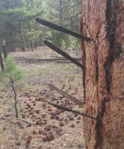 Cold Steel True Flight Thrower, Green 28 91bK644L7SL