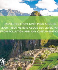 Zen Spirit Maca Root Powder Organic - Peruvian Root Premium Grade Superfood (Raw) - USDA & Vegan Certified - 1 Bag (8oz) - Perfect for Breakfast, Smoothies, Baking & Ice Cream. 26 91bXYLETczL