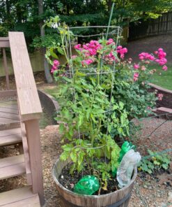 Recycle a Plastic Bottle Stake Set with Adapter 1 21 91bipdh7BkL