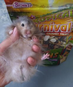 F.M. Brown's Tropical Carnival, Farm Fresh Fixins Treats for Rabbits, Guinea Pigs, Hamsters, Rats, Mice, and Other Small Animals, Healthy Mix of Fruits, Veggies, Seeds, and Hay, 10 oz 12 91bjsUV37L
