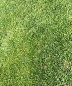 Mini DisplayPort to HDMI Cable,iVANKY Mini DP (Thunderbolt) to HDMI Cable 6.6ft,Nylon Braided,Aluminum Shell,Optimal Chip Solution for MacBook Air/Pro,Surface Pro/Dock,Monitor,Projector and More-1080P 6.6 FT 1-Pack Grey 57 91bwh5qqyEL