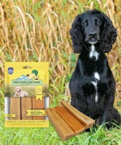 Himalayan Dog Chew Original Yak Cheese Dog Chews, 100% Natural, Long Lasting, Gluten Free, Healthy & Safe Dog Treats, Lactose & Grain Free, Protein Rich, Mixed Sizes, Dogs 65 Lbs & Smaller Yak Cheese - 3 sticks 3 Count (Pack of 1) 36 91c xJ6HpzL
