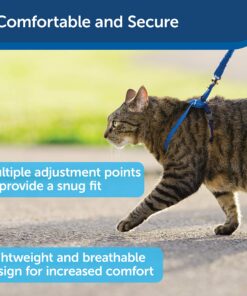 PetSafe Come With Me Kitty Harness and Bungee Leash, Harness for Cats, Large, Royal Blue/Navy 22 91c1jbMWOUL