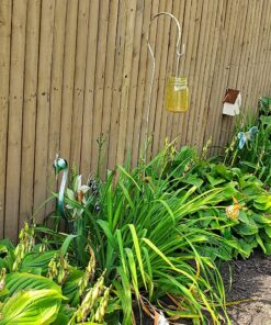 PetSafe Outdoor Ultrasonic Bark Control - Viral on TikTok - No Barking Deterrent for All Dog Sizes - Up to 1/4 Acre Coverage - Weatherproof - Great for Backyards - Bird House Design Standard 31 91c45qdU78L