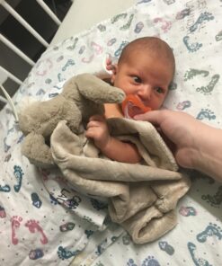 Jellycat Bashful Beige Bunny Baby Stuffed Animal Security Blanket 25 91cEfUsQcFL