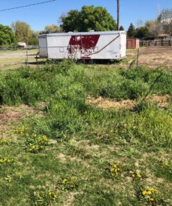 BLACK+DECKER 20V MAX Cordless Hedge Trimmer, 22-Inch, Tool Only (LHT2220B) 44 91cLOOpVVfL