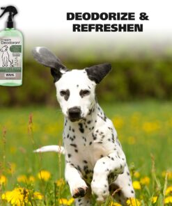 Wahl USA Deodorizing & Refreshing Pet Deodorant for Dogs - Eucalyptus & Spearmint Scent to Refresh the Skin and Coat - Model 820011A 23 91cMVVk8JZL