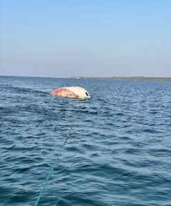 Airhead 2 Section Tow Rope | 1-4 Rider Towable Tube Rope, Dual Sections, 4,150lb Break Strength, 50 ft and 60 ft Options, Rope Keeper Included 20 91cWa2FatVL