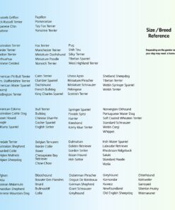 MidWest Homes for Pets Newly Enhanced Single Door iCrate Dog Crate, Includes Leak-Proof Pan, Floor Protecting Feet, Divider Panel & New Patented Features 22.5"L x 13.5"W x 16.0"H 28 91cYaI4ibZL
