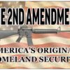 Funny Pro 2nd Amendment Metal Tin Sign Wall Decor Man Cave Bar Americas Original Homeland Security 56 91caxMvmSiL
