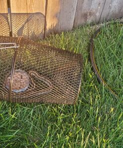 Eagle Claw Minnow Trap Black, 9-Inch x 16-1/2-Inch 11 91cbgyJh PL