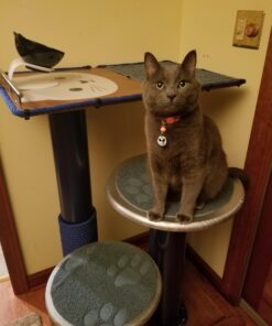 Ravenox Natural Twisted Cotton Rope | Made in The USA | Strong Triple-Strand Cordage for Sports, Décor, Pet Toys, Crafts, Macramé & Indoor Outdoor Use| by The Foot & Diameter (Multiple Color) Royal Blue 1/2 Inch x 25 Feet 24 91cgwJw00IL