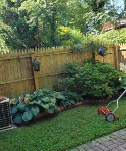 American Lawn Mower Company 1204-14 14-Inch 4-Blade Push Reel Lawn Mower, Red 14-Inch, 4-Blade 52 91chUDJjgVL