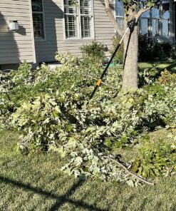 Fiskars 7.9'-12' Extendable Tree Pruning Stik Pruner - Rotating Sharp Precision-Ground Steel Blade for Cutting up to 1.25" Diameter Pruning Stick Extenable 7.9'-12' 42 91ciQBvTUrL