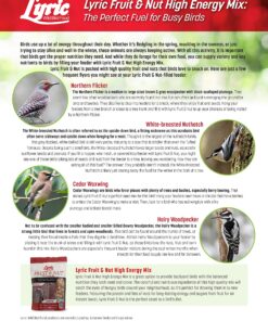 Lyric Fruit and Nut Wild Bird Seed - High Energy Wild Bird Food Mix - Attracts Woodpeckers, Chickadees & Other Songbirds - 5 lb bag 5.00 Pound (Pack of 1) 34 91cjD4v2guL 1