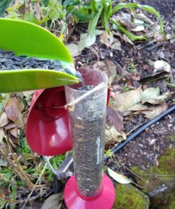 Roamwild PestOff Red Squirrel Proof Cardinal Bird Feeder Mixed Seed Sunflower Heart Version - RED - 3LBS Seed Capacity – 20.5”x7.5”x7.5” (w/Hanger) 31 91cnmvd SL