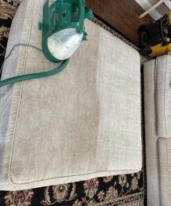 Carpet Miracle - Carpet Cleaner Shampoo Solution for Machine Use, Deep Stain Remover and Odor Deodorizing Formula, Use On Rug Car Upholstery and Carpets (32FL OZ) Spring Mint Scent 32 Fl Oz (Pack of 1) 44 91cpuzLtlPL