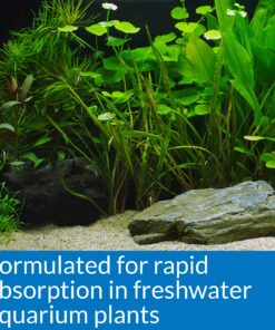 API LEAF ZONE Freshwater Aquarium Plant Fertilizer 18-Ounce Bottle White 16oz 30 91dFrrRFR6L
