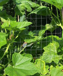 Bonide Captain Jack's Neem Oil, 16 oz. Concentrate, Multi-Purpose Fungicide, Insecticide and Miticide for Organic Gardening 30 91dcoph0ANL