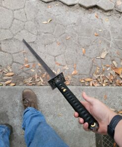 Onikiri F-585 1045 Black Carbon Steel Scabbard Ninja Sword, 41.5" 12 91ddKWmCO6L