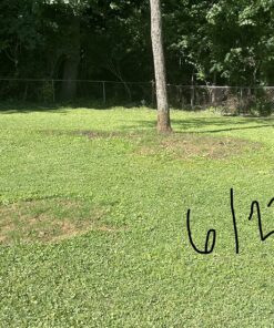 Scotts EZ Seed Patch and Repair Sun and Shade for Grass: Covers up to 225 sq. ft., 10 lb. 10 lb. 1 Pack 56 91djQ534DaL