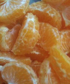 Liquid Pectic Enzyme 0.5 oz 18 91dwvSCdZKL