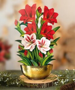 Freshcut Paper Pop Up Cards, Scarlet Amaryllis, 16 inch Life Sized Forever Flower Bouquet 3D Popup Christmas, Winter, Holiday Greeting Cards with Note Card and Envelope - Christmas Decorations 11 91dxxBHeRvL