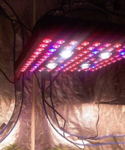 AGLEX 420W COB LED Grow Light, Full Spectrum Plant Grow Lamp with Daisy Chain Veg and Bloom Switch for Hydroponic Greenhouse Indoor Plant Veg and Flower (C2000) C2000 51 91dydX6OClL