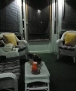 DBF Outdoor Solar Gutter Lights【Upgraded Version】 Solar Fence Post Lights Wall Mount Decorative Deck Lighting Auto On/Off Solar Landscape Lights for Eaves Yard Garden Highlight Gate (Pack of 6) White 46 91eAsDFbA4L