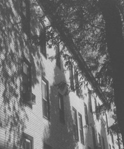 Ilford 1887710 DELTA 3200 Professional, Black and White Print Film, 135 (35 mm), ISO 3200, 36 Exposures 1-Pack 12 91eYnTaDOvL